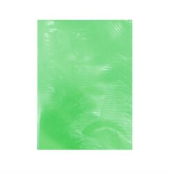 Carpeta Plastificada c/acco color verde JRF