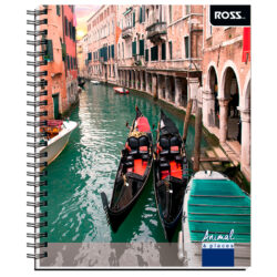 Cuaderno Universitario Croquis 100 Hojas ROSS