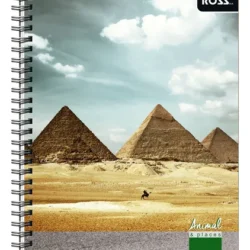 Cuaderno Universitario Croquis 100 Hojas ROSS