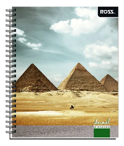 Cuaderno Universitario Croquis 100 Hojas ROSS
