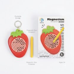 Juegos Imán Magnetism Mini (Futilla)